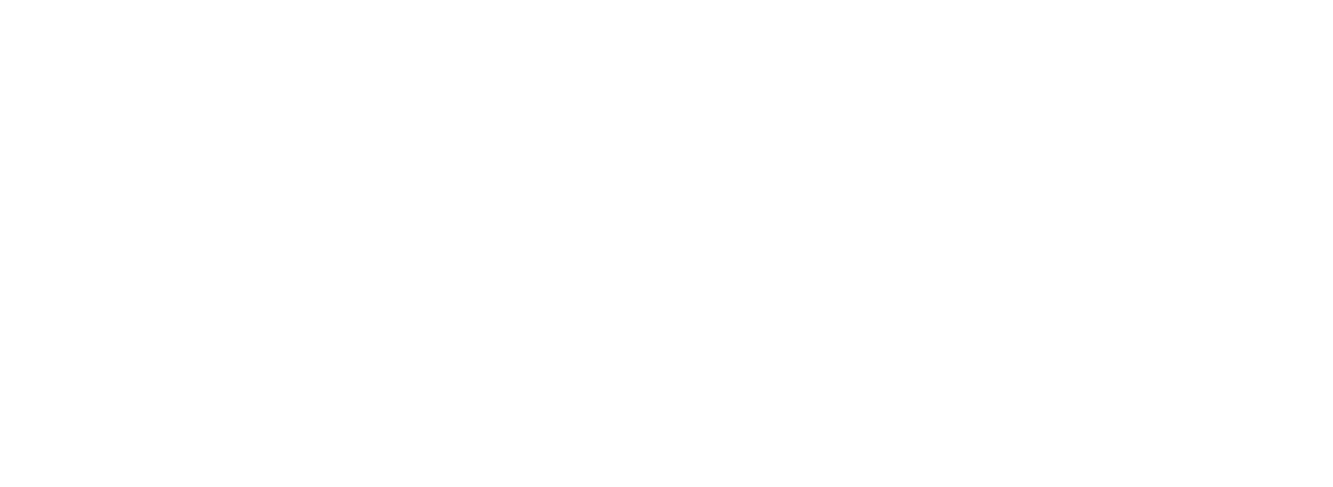 Piediny Store